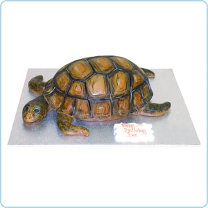 3D turtle